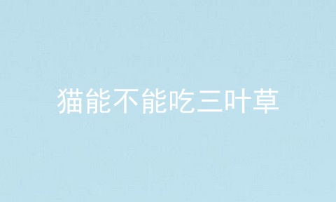 猫能不能吃三叶草