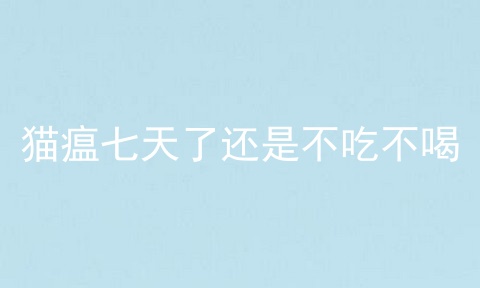 猫瘟七天了还是不吃不喝