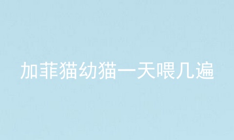加菲猫幼猫一天喂几遍