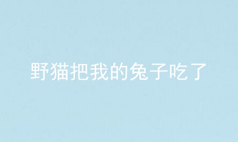 野猫把我的兔子吃了