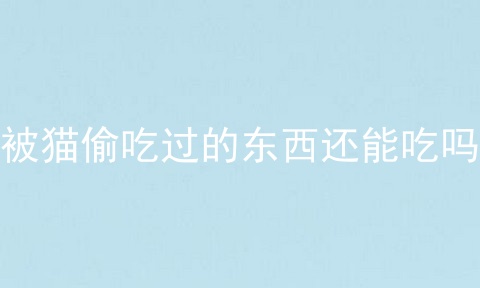 被猫偷吃过的东西还能吃吗