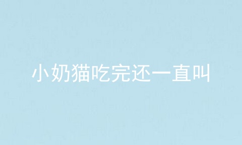 小奶猫吃完还一直叫