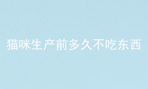 猫咪生产前多久不吃东西