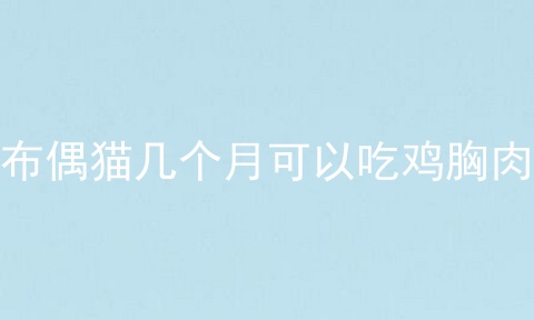 布偶猫几个月可以吃鸡胸肉