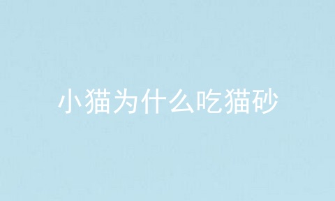 小猫为什么吃猫砂