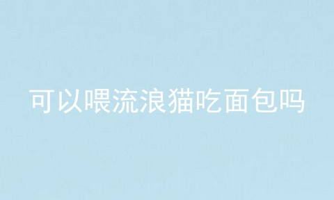 可以喂流浪猫吃面包吗