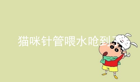 猫咪针管喂水呛到了