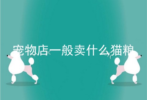 宠物店一般卖什么猫粮