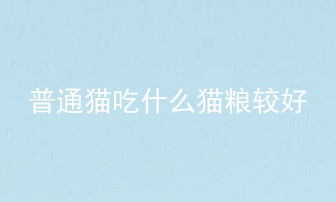 普通猫吃什么猫粮较好