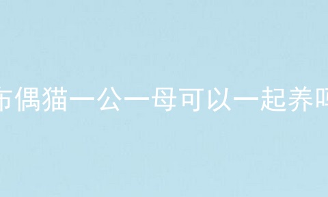 布偶猫一公一母可以一起养吗