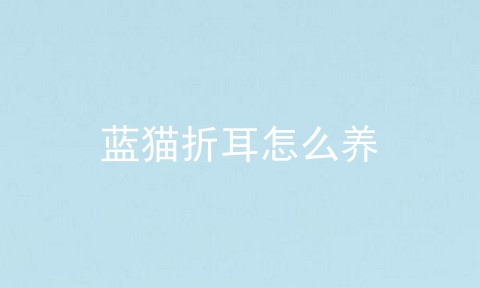 蓝猫折耳怎么养