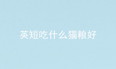 英短吃什么猫粮好