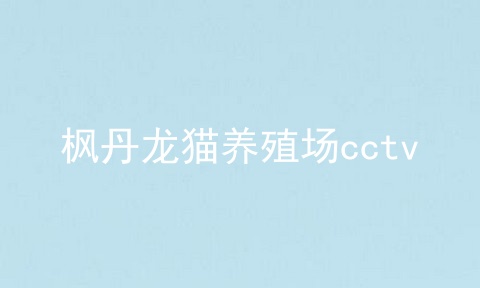枫丹龙猫养殖场cctv
