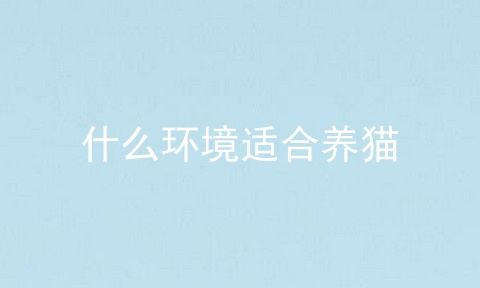 什么环境适合养猫