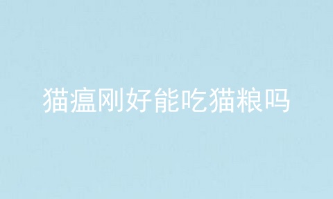 猫瘟刚好能吃猫粮吗