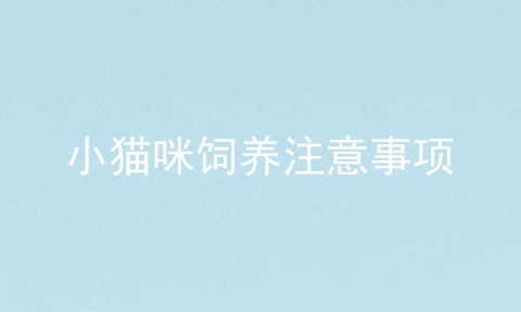 小猫咪饲养注意事项