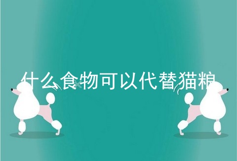什么食物可以代替猫粮