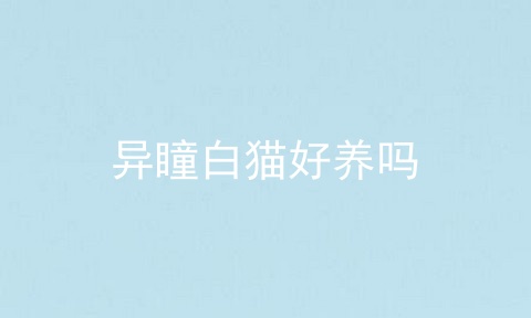 异瞳白猫好养吗