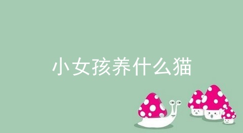 小女孩养什么猫