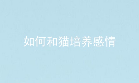 如何和猫培养感情