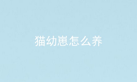 猫幼崽怎么养