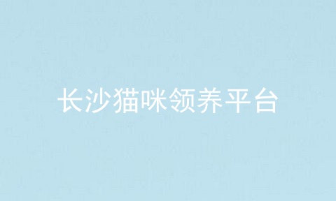长沙猫咪领养平台