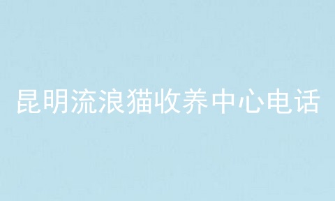 昆明流浪猫收养中心电话