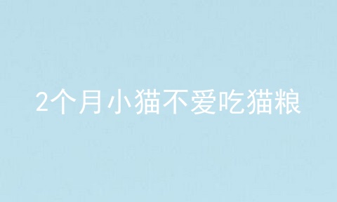 2个月小猫不爱吃猫粮