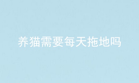 养猫需要每天拖地吗