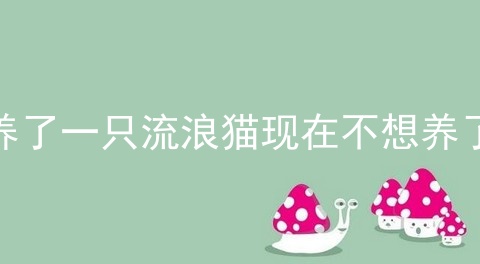 养了一只流浪猫现在不想养了