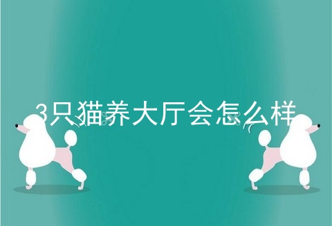 3只猫养大厅会怎么样