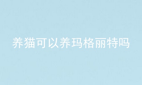 养猫可以养玛格丽特吗
