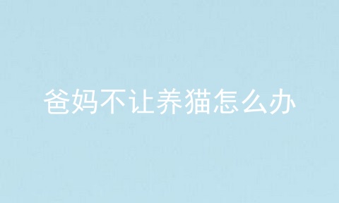 爸妈不让养猫怎么办