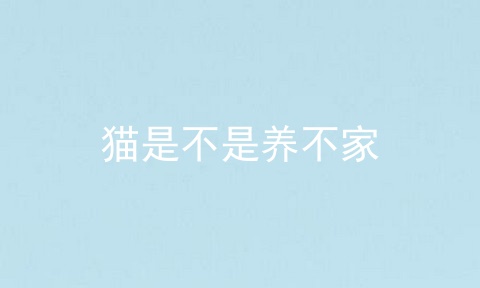 猫是不是养不家