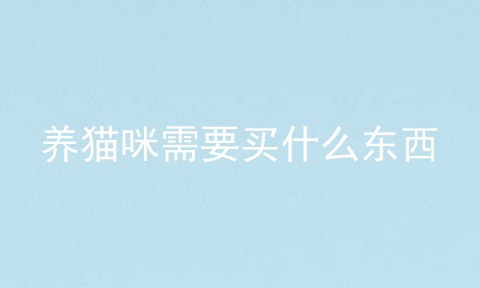 养猫咪需要买什么东西