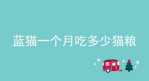 蓝猫一个月吃多少猫粮