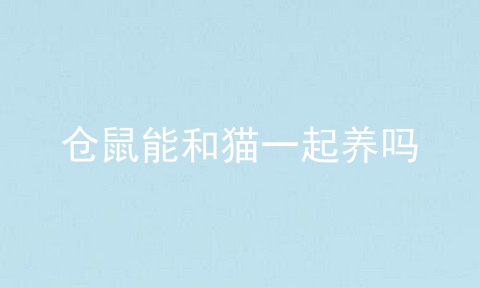 仓鼠能和猫一起养吗