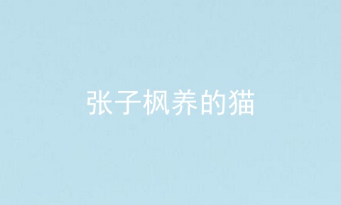 张子枫养的猫