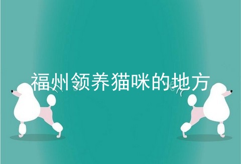 福州领养猫咪的地方
