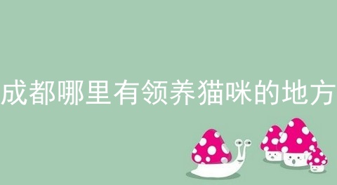 成都哪里有领养猫咪的地方