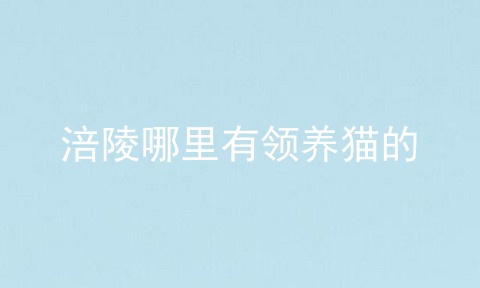 涪陵哪里有领养猫的