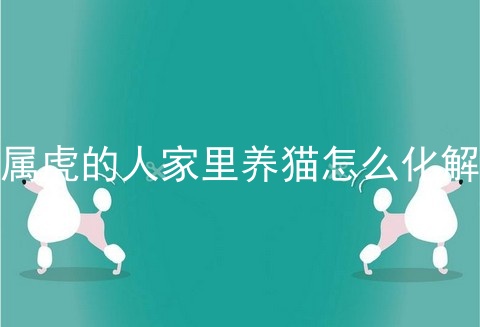 属虎的人家里养猫怎么化解