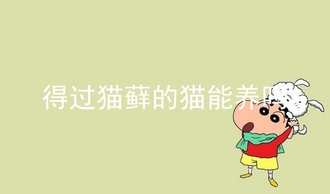 得过猫藓的猫能养吗