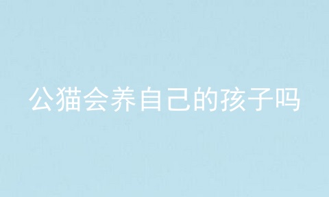 公猫会养自己的孩子吗