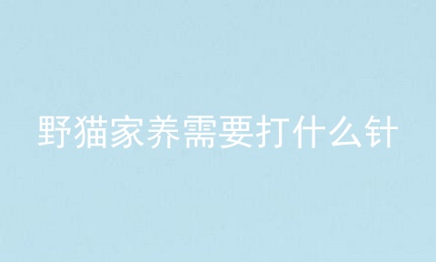 野猫家养需要打什么针