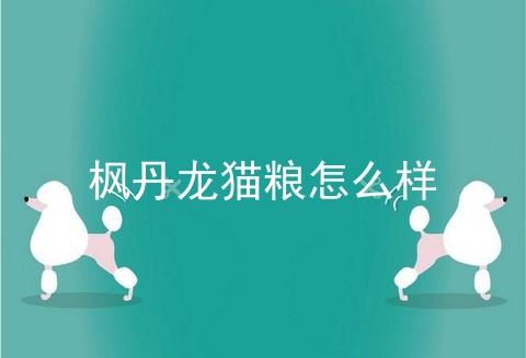 枫丹龙猫粮怎么样