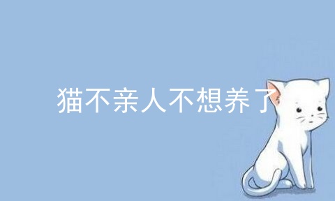 猫不亲人不想养了