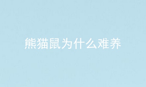 熊猫鼠为什么难养