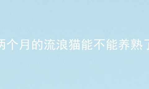 两个月的流浪猫能不能养熟了