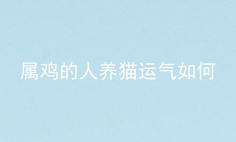 属鸡的人养猫运气如何